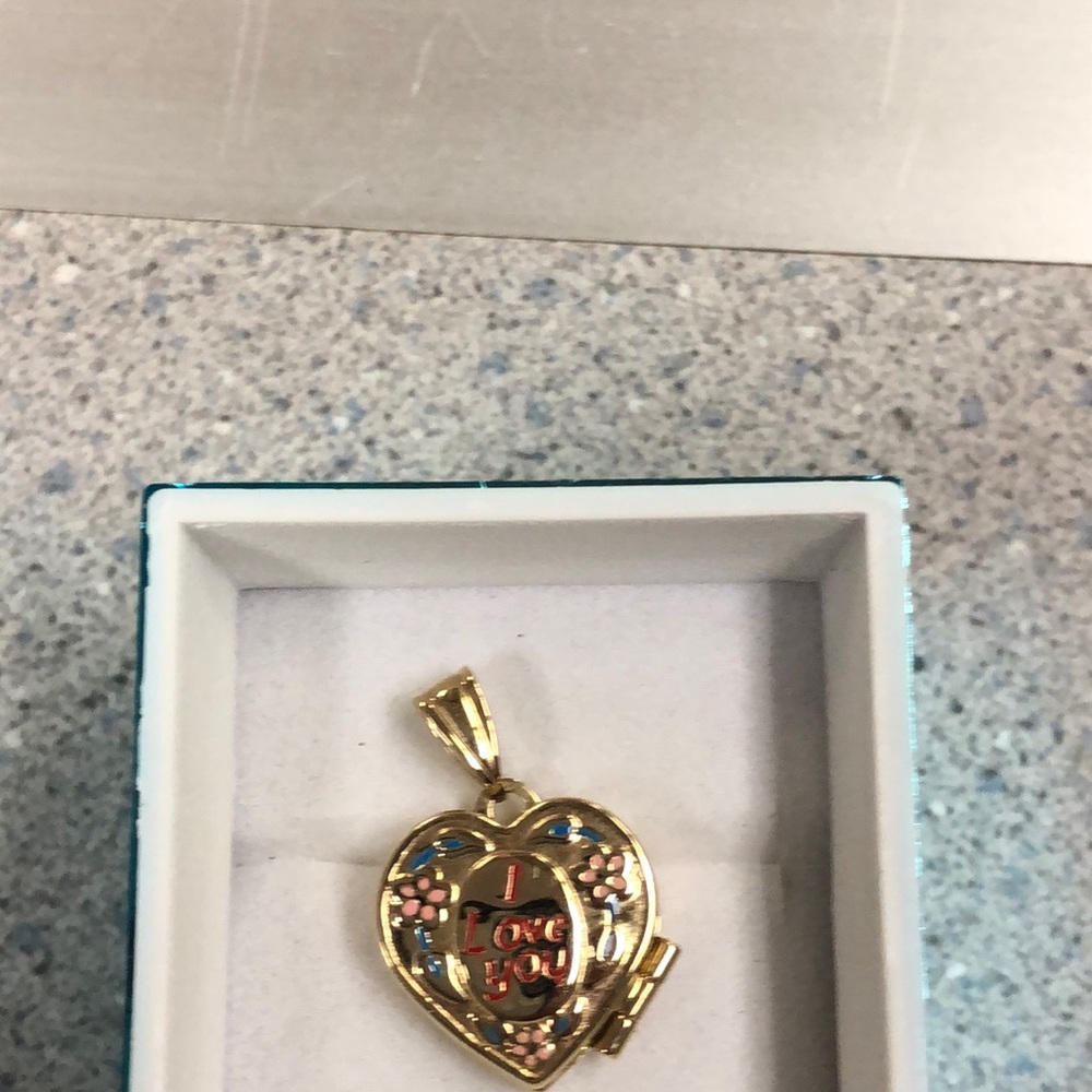 Picture pendant 14k gold